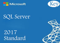 Unbegrenzte Standard-Lizenz Microsoft-SQL-Server-2017