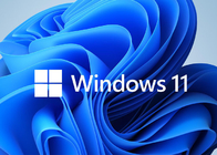 Des Gewinn-11 Pro- Pro-Digital Schlüssel Schlüssel-Windows 11 online 24 Stunden bereiten gerade Schlüsselcode vor